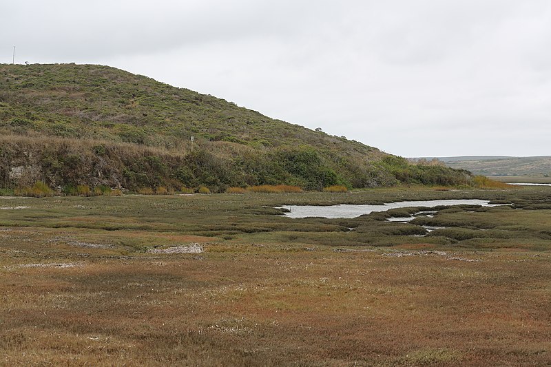 File:Point Reyes (TK5).JPG