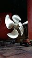 Polished propeller ship in a dry dock