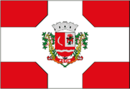 Bandera de Potim