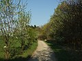 Čeština: Krajina nad Prokopským údolím v dubnu, Praha nápověda English: Nature in Prague, Prokopské údolí nature park, CZ help