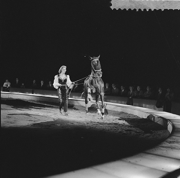 File:Programma van Circus Krone in Rotterdam. Christel Senbach-Krone met de bruine Li, Bestanddeelnr 910-4387.jpg