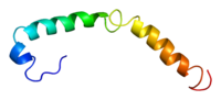 Vignette pour Apoliprotéine C-I