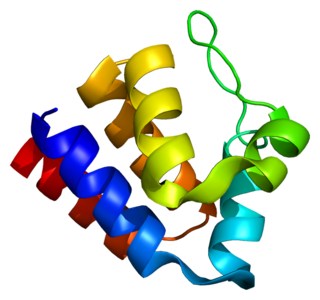 <span class="mw-page-title-main">PYCARD</span> Human protein and coding gene