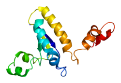 Protein QKI PDB 2bl5.png