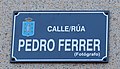Pedro Ferrer Rúa