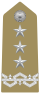 Rank insignia of generale di corpo d'armata of the Army of Italy (1973).svg