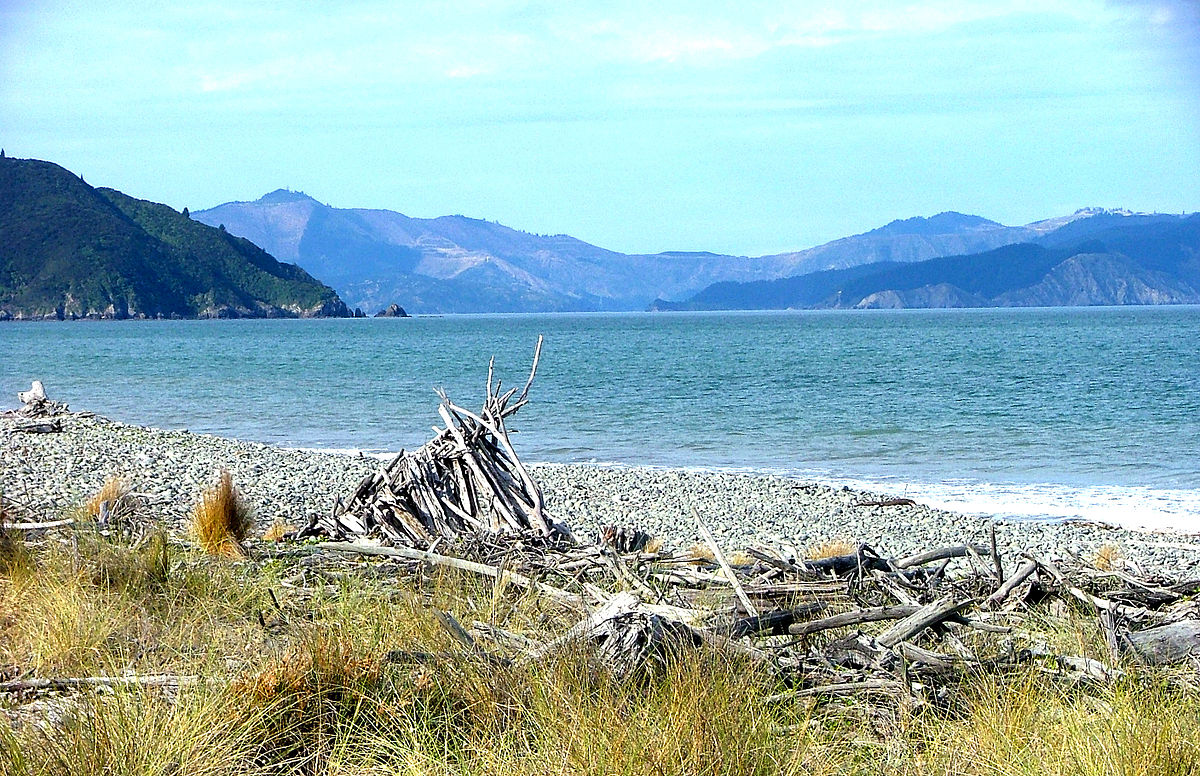 Visit Cloudy Bay Vineyards in New Zealand