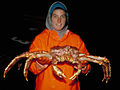 Le crabe royal du Kamchatka