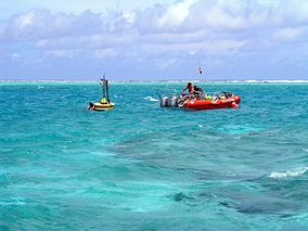 Reef3261 - Flickr - NOAA Photo Library.jpg
