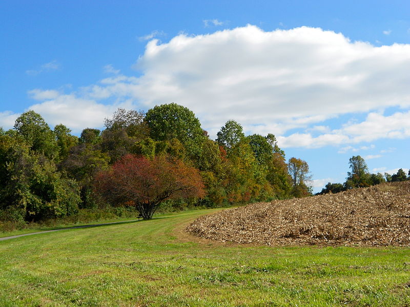 File:Ridley Creek Park near Middleton Road.JPG