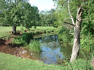 River Chew River in Somerset, United Kingdom