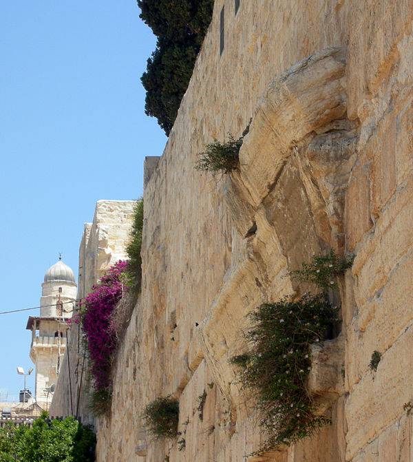 Robinson's Arch: the springers are still jutting out of the Western Wall