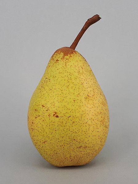 File:Rocha Pear 2017 B5.jpg