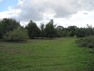 <span class="mw-page-title-main">Rowley Lodge Field</span>