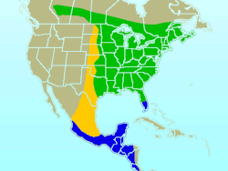 Colibri à gorge rubis-rangemap.gif