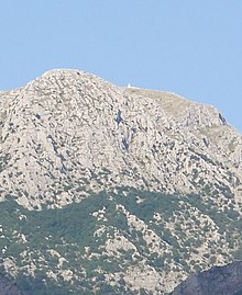 Photograph of the summit and the surrounding area of a sparsely wooded rocky mountain.