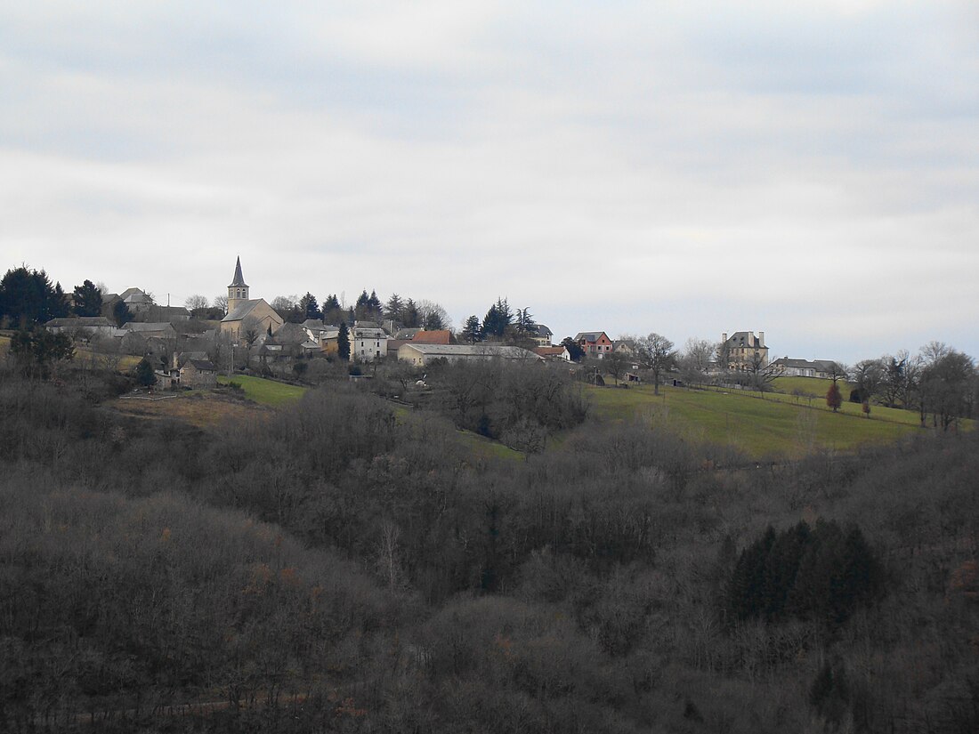 Saint-André-de-Najac