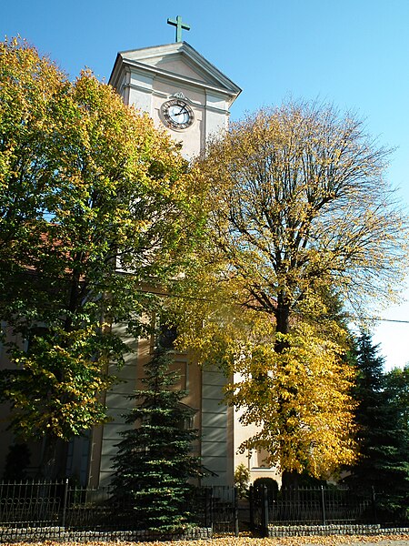 File:Saint Michael Archangel church in Dobrzany (13).jpg