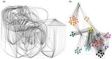 The graphic displays a food web of Secaucus High School Marsh without grouping/communities (left) and the food web with communities (right). Salt marsh food web.png