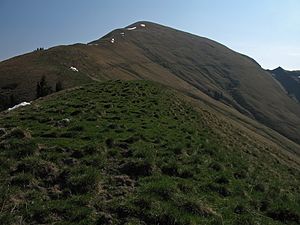 Schoenalmjoch.jpg