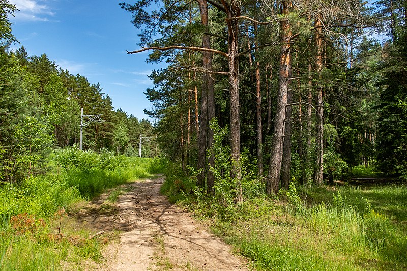 File:Sciklieva reserve (Belarus, June 2020) 07.jpg