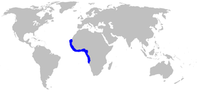 Descrizione dell'immagine Scyliorhinus_cervigoni_distmap.png.