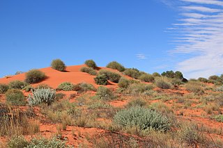 <span class="mw-page-title-main">Simpson Desert, South Australia</span> Suburb of Pastoral Unincorporated Area, South Australia