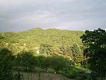 Forests of Sikhote-Alin range Sopka in south Sikhote-Alin.JPG