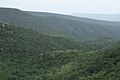 Sri Venkateswara National Park, Tirumala Hills