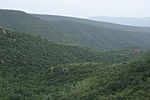 Thumbnail for Sri Venkateswara National Park