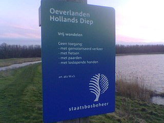 <span class="mw-page-title-main">Staatsbosbeheer</span> Dutch government organization