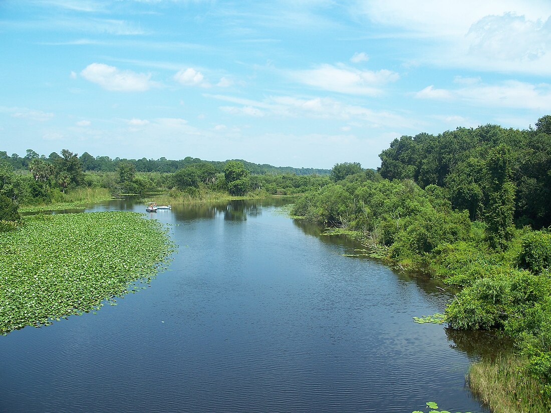 Río Ocklawaha