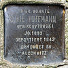 Stolperstein Dieffenbachstr 49 (Kreuzb) Sofie Hoffmann.jpg