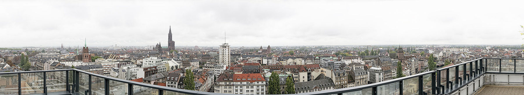 Strasbourg seen from Esca Tower in 2014.jpg