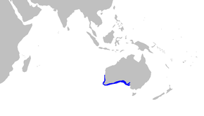 A Sutorectus_tentaculatus_distmap.png kép leírása.