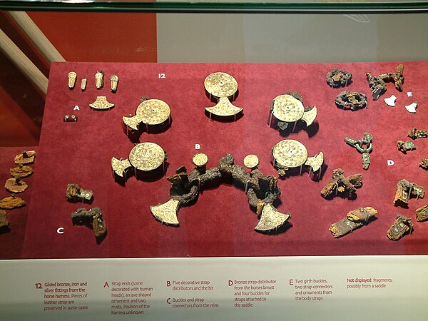 Remains of the horse burial in Mound 17, Sutton Hoo
