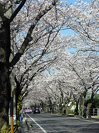 豊田工業高等専門学校: 概要, 沿革, 学科