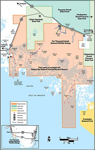 <span class="mw-page-title-main">Ten Thousand Islands</span> Chain of islands in Florida, USA