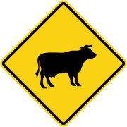 Animals Crossing