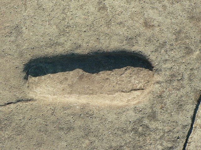 Footprint of Fealty