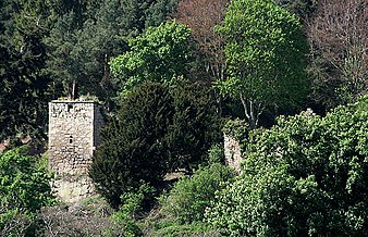 The ruins of Blanerne Castle, historic seat of the chiefs of Clan Lumsden. The remains of Blanerne Castle near Edrom - geograph.org.uk - 1288674.jpg