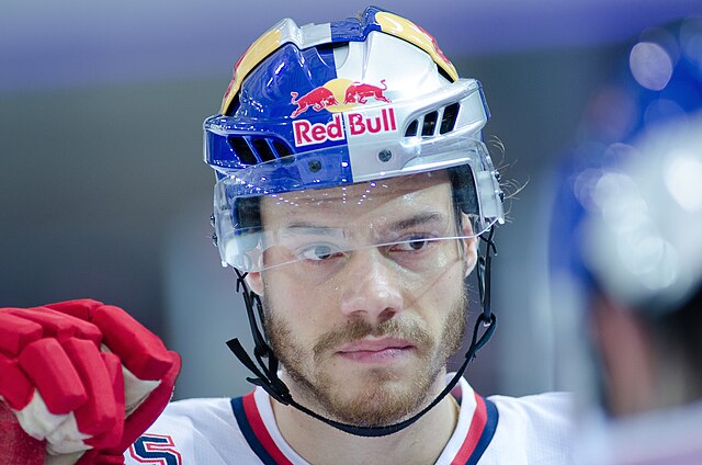 Description de l'image Thomas Raffl Head 2013-10-25.jpg.