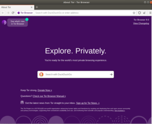 Tor browser запрещен ли в россии gidra the darknet tor