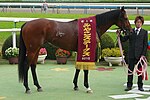 トランセンド (競走馬)のサムネイル