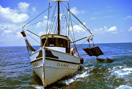 Double-rigged shrimp trawler hauling in nets