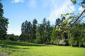 Čeština: Stromy u rybníka v Náměšťské oboře v Kralicích nad Oslavou, okr. Třebíč. English: Trees near pond in Náměšťská obora in Kralice nad Oslavou, Třebíč District.