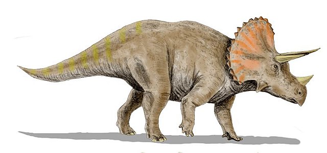 Triceratopo, Dinossauro Rei Wiki