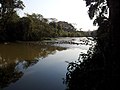 Trilha beirando rio Jaguari - panoramio (3).jpg
