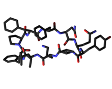 Tyrocydyna 3D.png