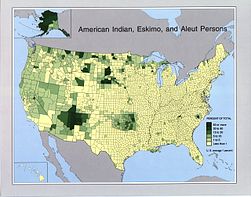 US Census 1990 americanindian.jpg